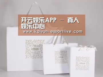 项目名称十一