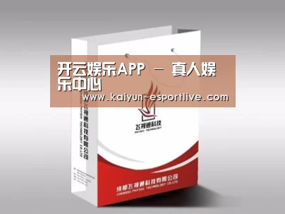 项目名称十三