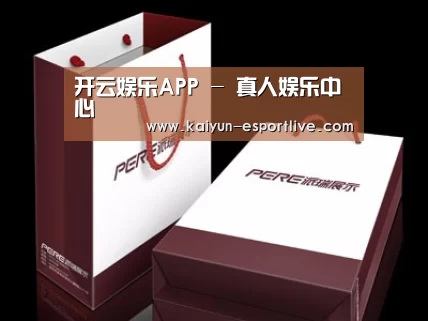 项目名称十二