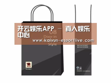 项目名称十四