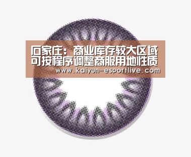 石家庄:商业库存较大区域可按程序调整商服用地性质【开云电竞官网】(图1) 开云体育登录入口