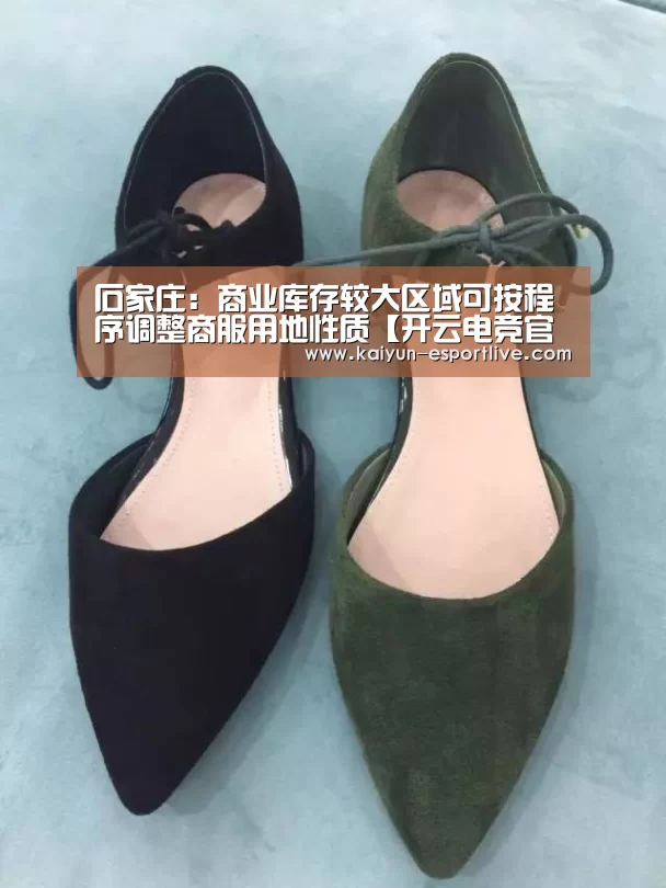 石家庄:商业库存较大区域可按程序调整商服用地性质【开云电竞官网】(图4) 开云最新地址