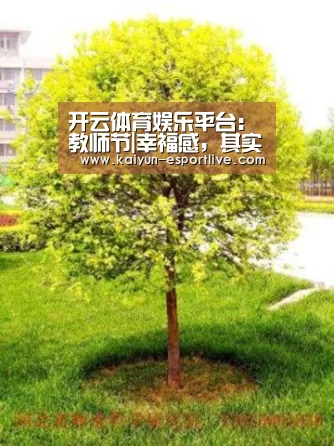开云体育娱乐平台:教师节|幸福感,其实她一直都在......(图1) 开云体育登录入口