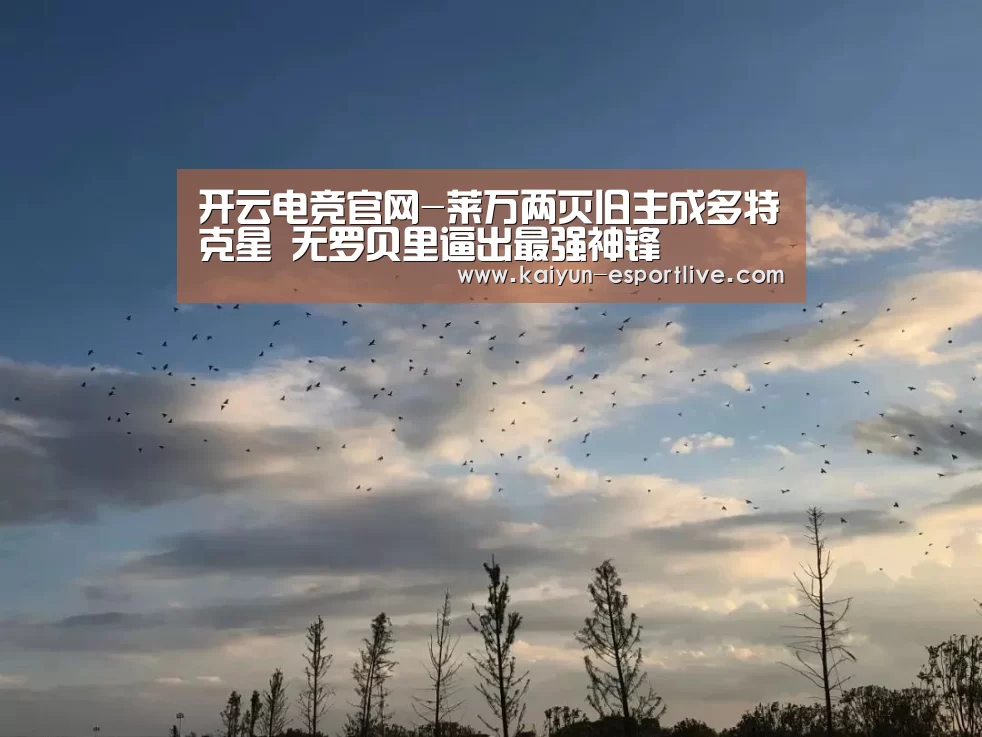 开云电竞官网