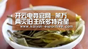 开云体育娱乐平台