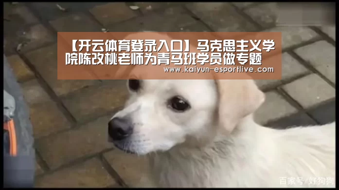 【开云体育登录入口】马克思主义学院陈改桃老师为青马班学员做专题讲座(图3) 开云体育娱乐平台